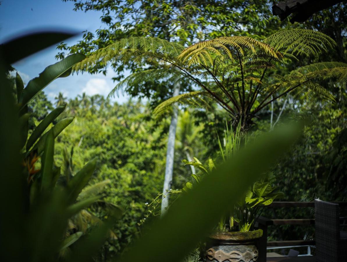 Angsoka Bungalow Ubud Exterior foto