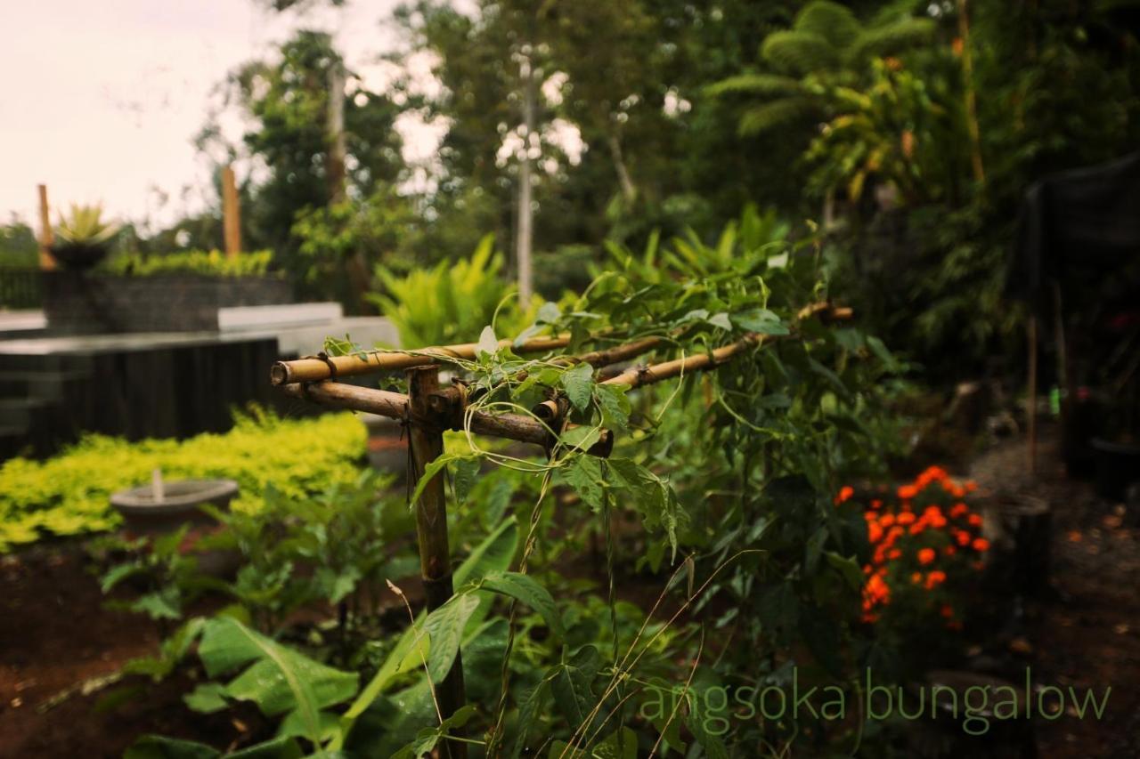Angsoka Bungalow Ubud Exterior foto